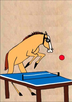 Ping Pong the Animation